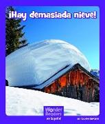 ¡hay Demasiada Nieve!