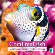 Dazzling underwater world: Coral reef fish (Wall Calendar 2016 300 × 300 mm Square)