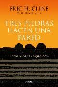 Tres piedras hacen una pared : historias de la arqueología