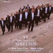 YL-The Voice of Sibelius