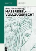 Maßregelvollzugsrecht