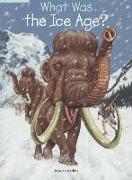 What Was the Ice Age?