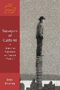 Surveyors of Customs: American Literature as Cultural Analysis