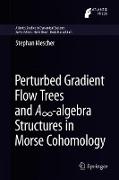 Perturbed Gradient Flow Trees and A¿-algebra Structures in Morse Cohomology