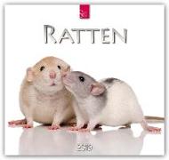 Ratten 2019