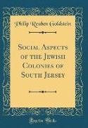 Social Aspects of the Jewish Colonies of South Jersey (Classic Reprint)