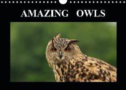AMAZING OWLS (Wall Calendar 2019 DIN A4 Landscape)