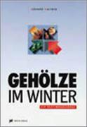 Gehölze im Winter