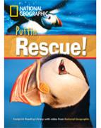 Puffin Rescue!