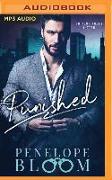 Punished: A Dark Billionaire Romance