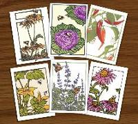 Bees, Butterflies & Blooms Assortment (B: Boxed Set of 6 Cards