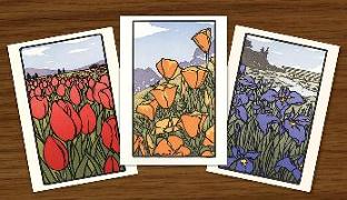 In Bloom Assortment (Boxed): Boxed Set of 6 Cards