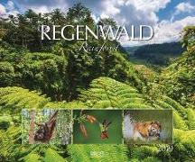 Regenwald 2019