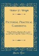 Pictorial Practical Gardening