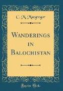 Wanderings in Balochistan (Classic Reprint)