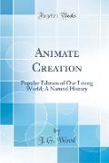 Animate Creation