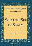 What to See in Salem (Classic Reprint)