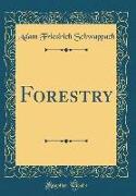 Forestry (Classic Reprint)