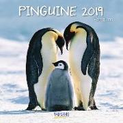 Pinguine 2019. Broschürenkalender
