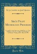 Sba's Pilot Microloan Program