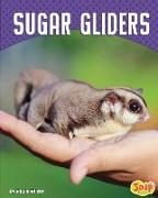 Sugar Gliders