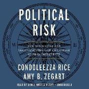 Political Risk: How Businesses and Organizations Can Anticipate Global Insecurity