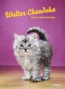 Walter Chandoha: The Cat Photographer