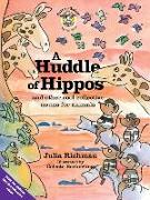 A huddle of hippos