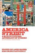 America Street: A Multicultural Anthology of Stories