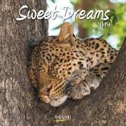 Sweet Dreams 2019 Broschürenkalender