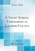 A Night School Experiment in Laurens County (Classic Reprint)