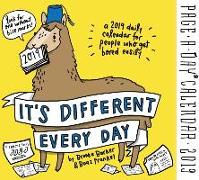 2019 its Different Every Day Page-A-Day Calendar