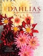 Dahlias