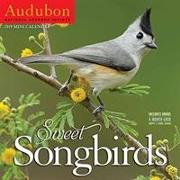 Audubon Sweet Songbirds Mini Wall Calendar 2019