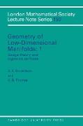 Geometry of Low-Dimensional Manifolds