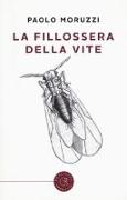 La fillossera della vite