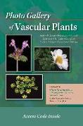 Photo Gallery of Vascular Plants