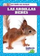 Las Ardillas Bebes (Squirrel Kits)