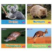 Australian Animals