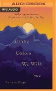 All the Colors We Will See: Reflections on Barriers, Brokenness, and Finding Our Way