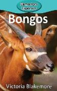 Bongos