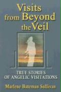 Visits from Beyond the Veil: True Stories of Angelic Visitations