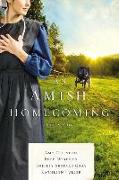 An Amish Homecoming