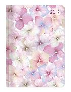 Ladytimer Blossoms 2019