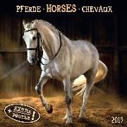 Pferde- Horses - Cheveaux 2019 Artwork