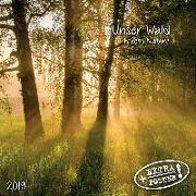 Unser Wald - Forest Nature 2019 Artwork