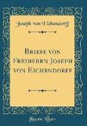 Briefe von Freiherrn Joseph von Eichendorff (Classic Reprint)