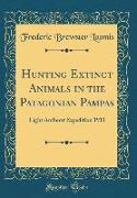 Hunting Extinct Animals in the Patagonian Pampas