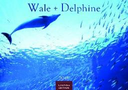 Wale und Delphine 2019 - Format L