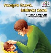 Goodnight, My Love! (Romanian Book for Kids)